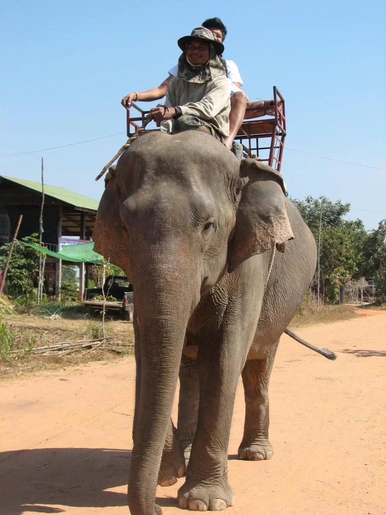 Breda damer 092.webp