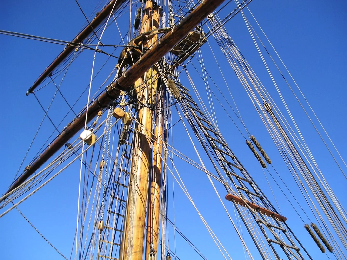 Briggen Gerda (7).webp