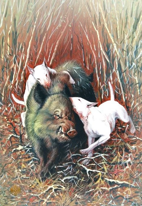 Bullar med Gris.webp