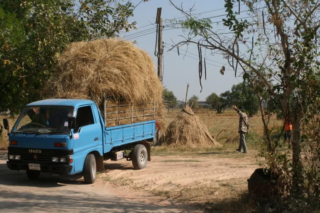 Canon 400 D 079.webp