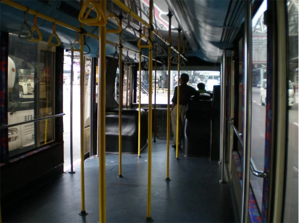 chiang mai 2011 005.webp