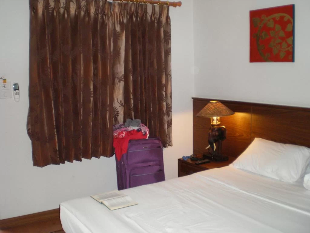 chiang mai 2011 023.webp