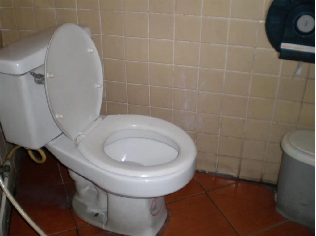 chiang mai 2011 033.webp