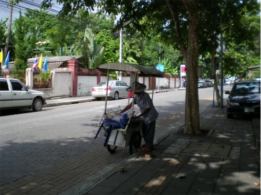 chiang mai 2011 043.webp