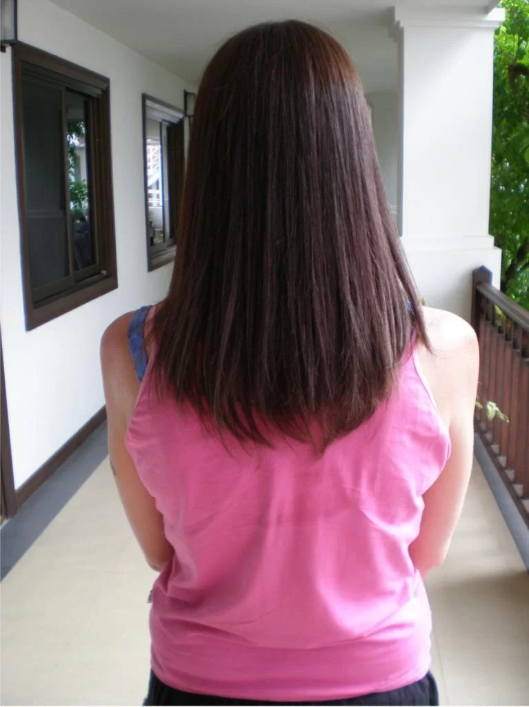 chiang mai 2011 074.webp