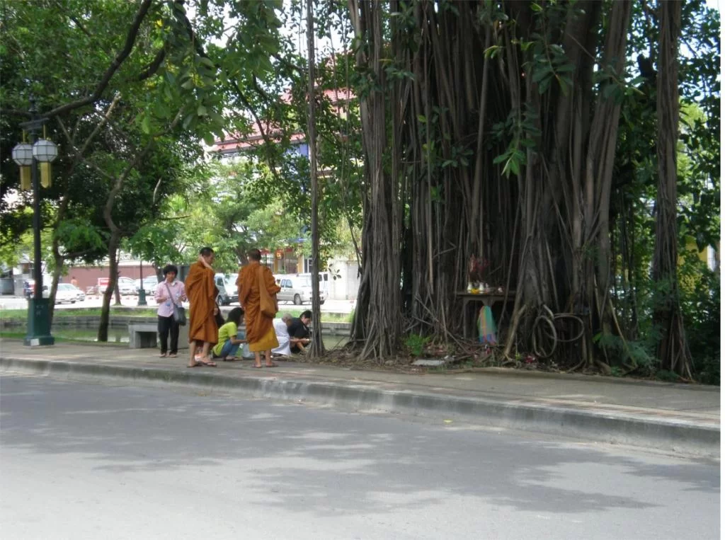 chiang mai 2011 101.webp