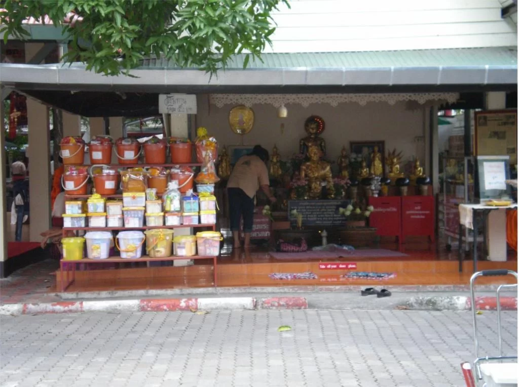 chiang mai 2011 166.webp