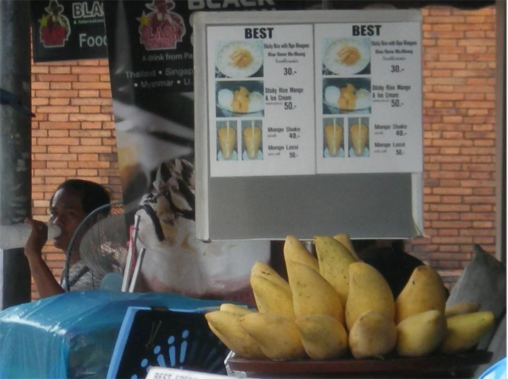 chiang mai 2011 171.webp