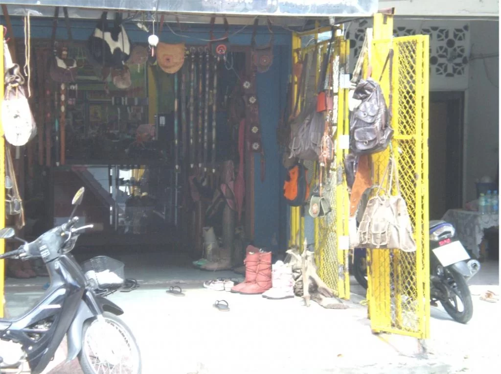 chiang mai 2011 208.webp