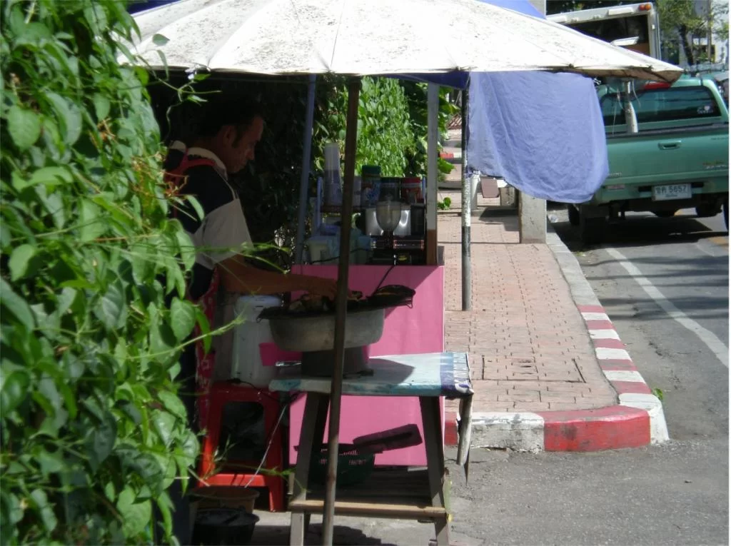 chiang mai 2011 210.webp