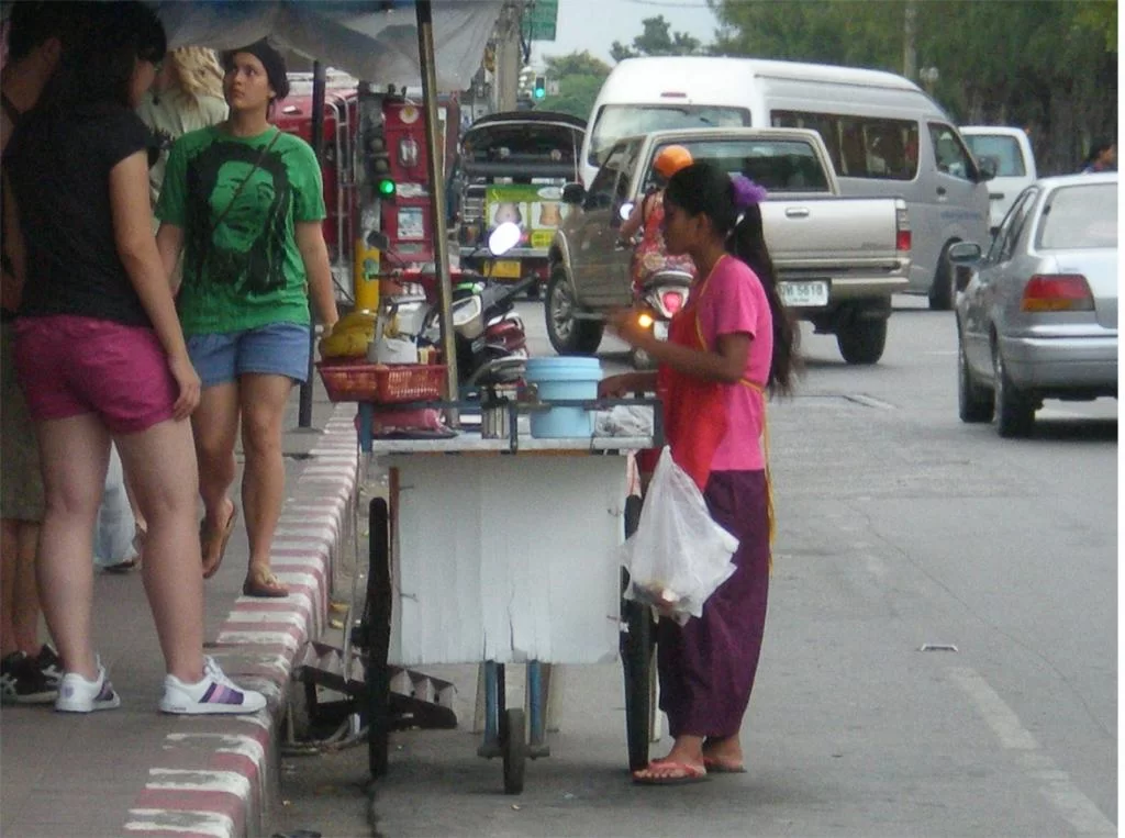 chiang mai 2011 226.webp