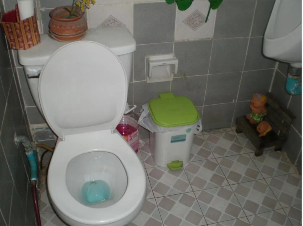 chiang mai 2011 230.webp