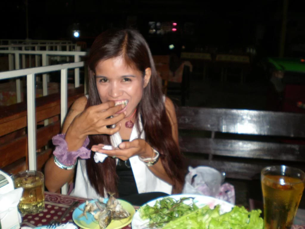 chiang mai 2011 246.webp