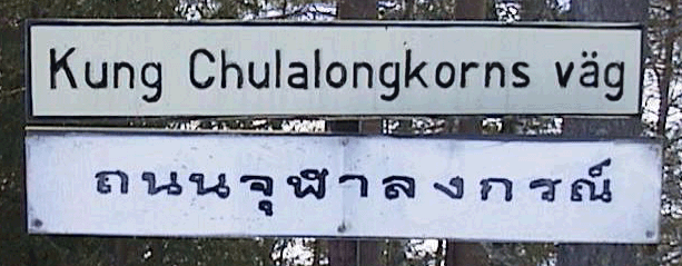chulalongkorns_vag.gif