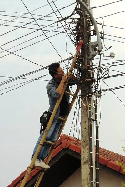 CIMG3550 [800x600].webp