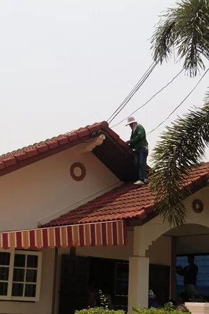 CIMG3555 [800x600].webp