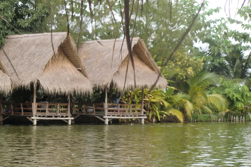 CIMG5999 [800x600].webp