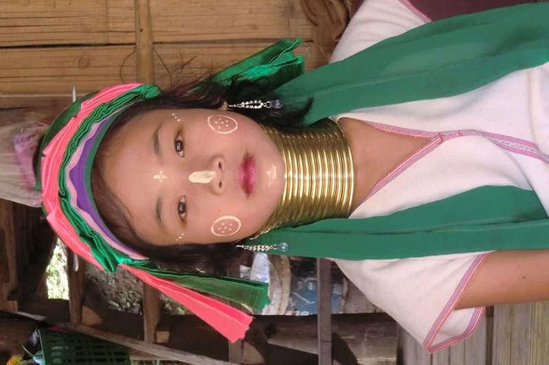 CIMG6287 [800x600].webp