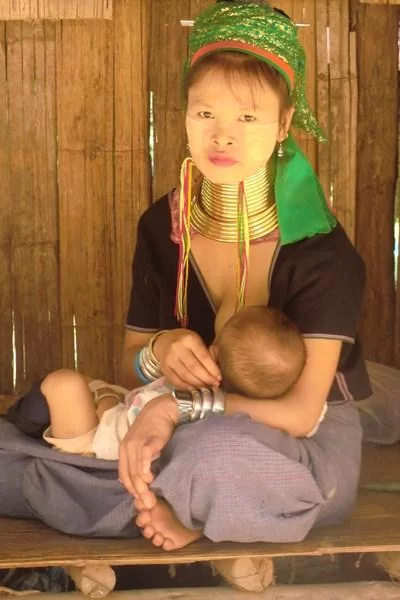 CIMG6289 [800x600].webp