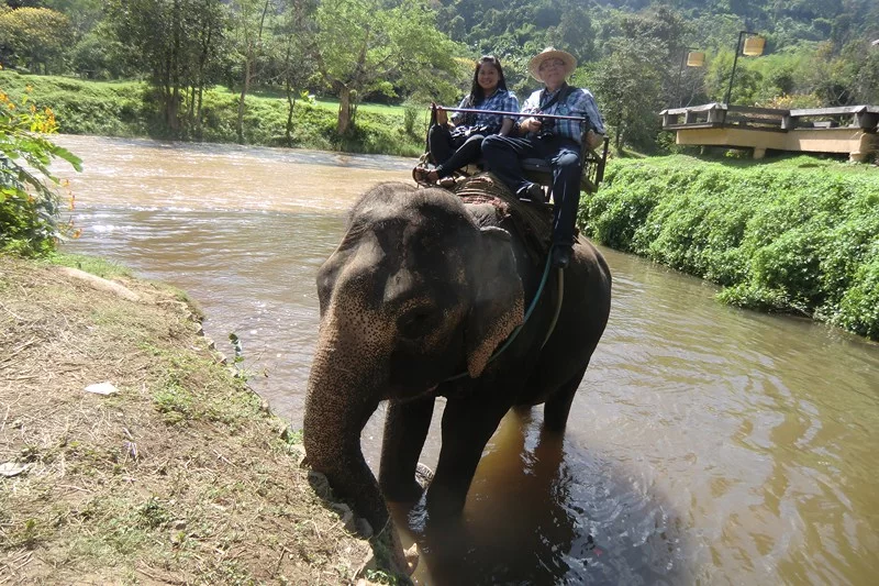 CIMG6440 [800x600].webp