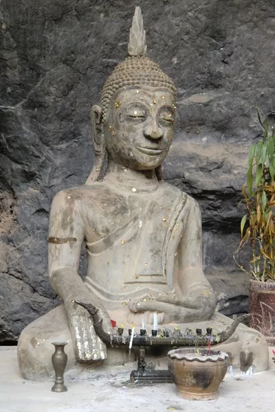 CIMG6767 [800x600].webp