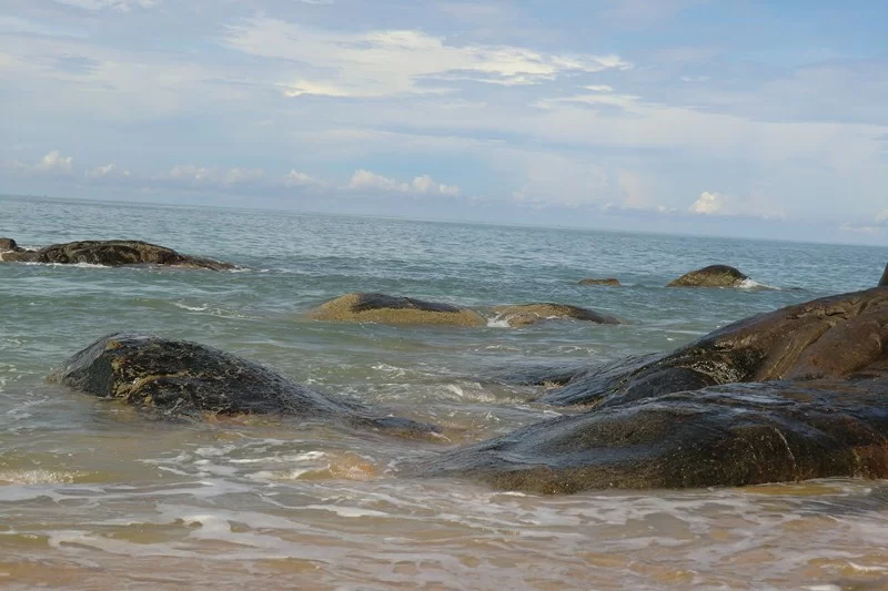 CIMG6990 [800x600].webp