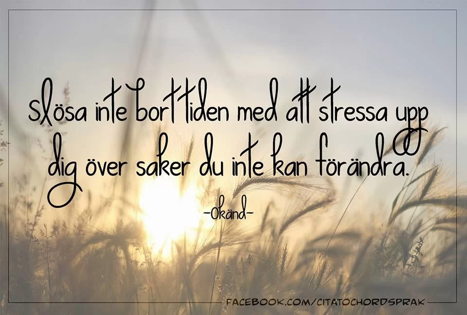 Citat Slösa inte bort tiden. jpg.webp