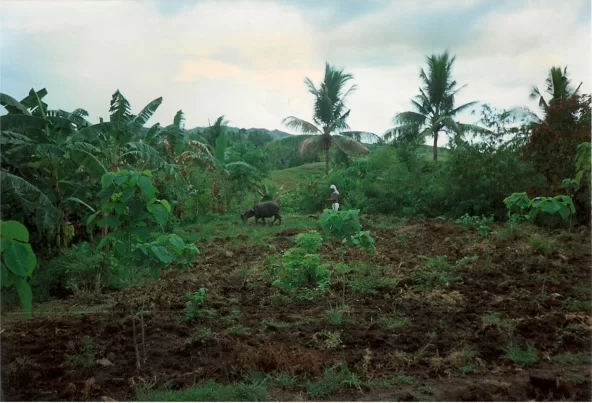 där ska du vara.webp