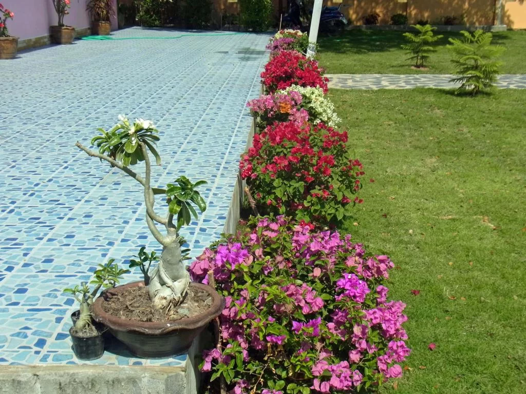 December 2011 013.webp