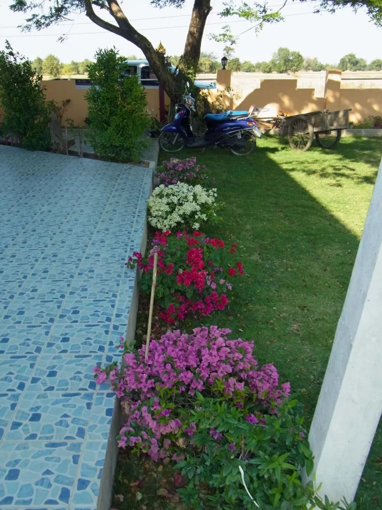 December 2011 047.webp