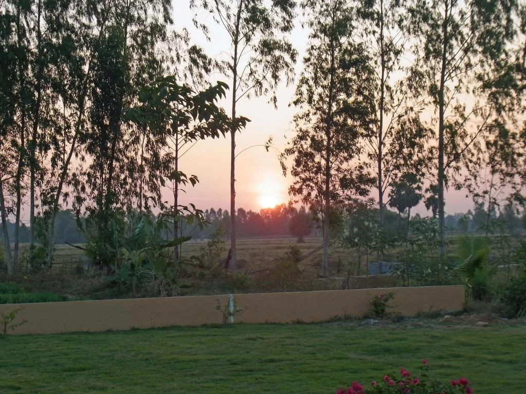 December 2011 060.webp