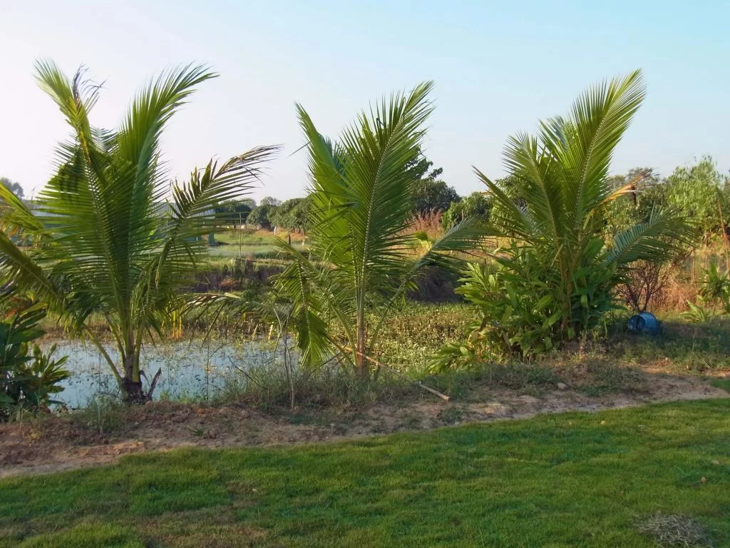 December 2011 095.webp