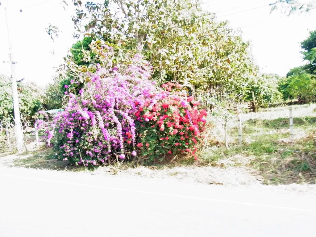 December 2011 166.webp