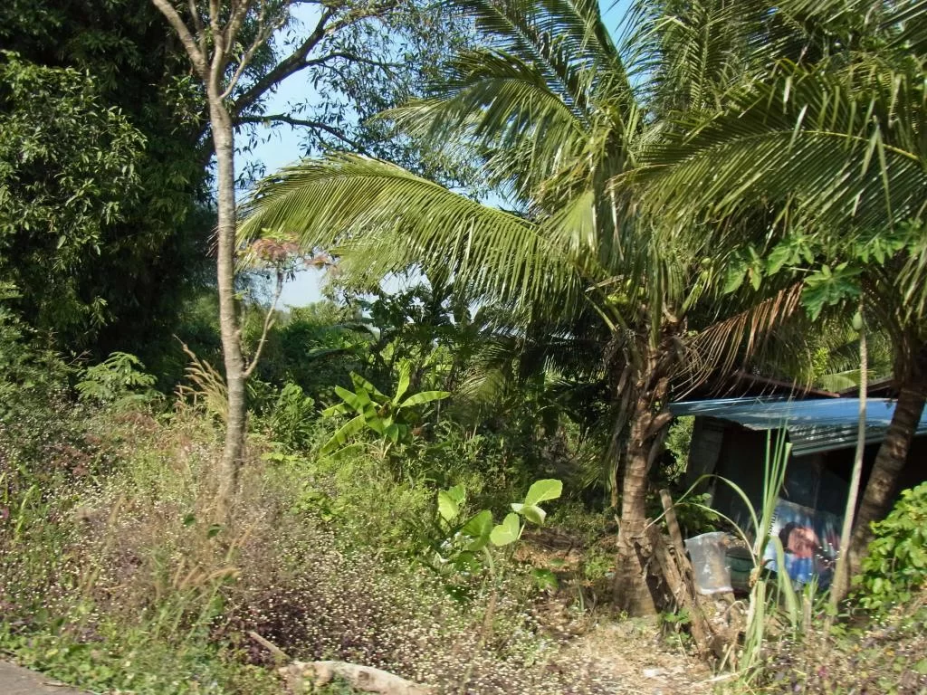 December 2011 169.webp