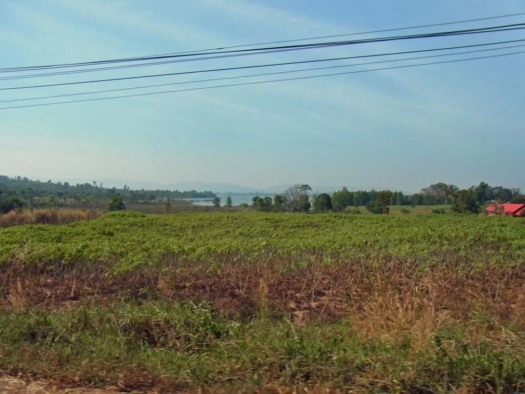 December 2011 172.webp