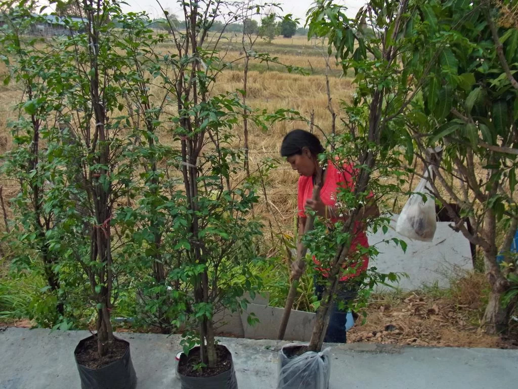 December 2011 253.webp