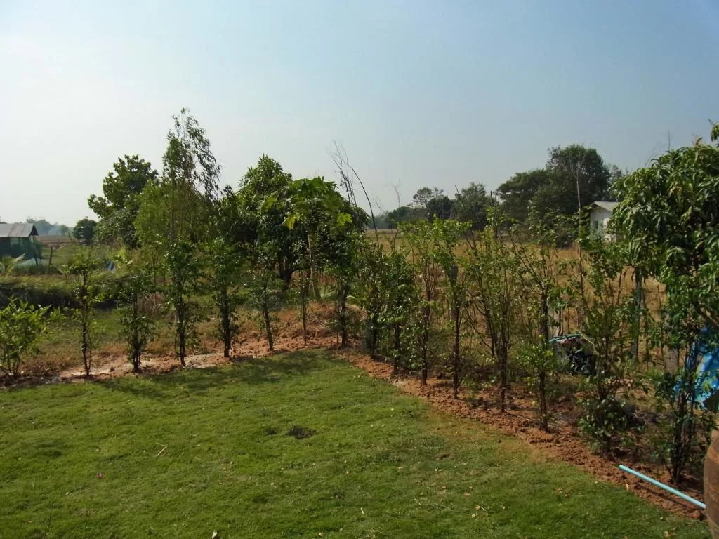 December 2011 276.webp