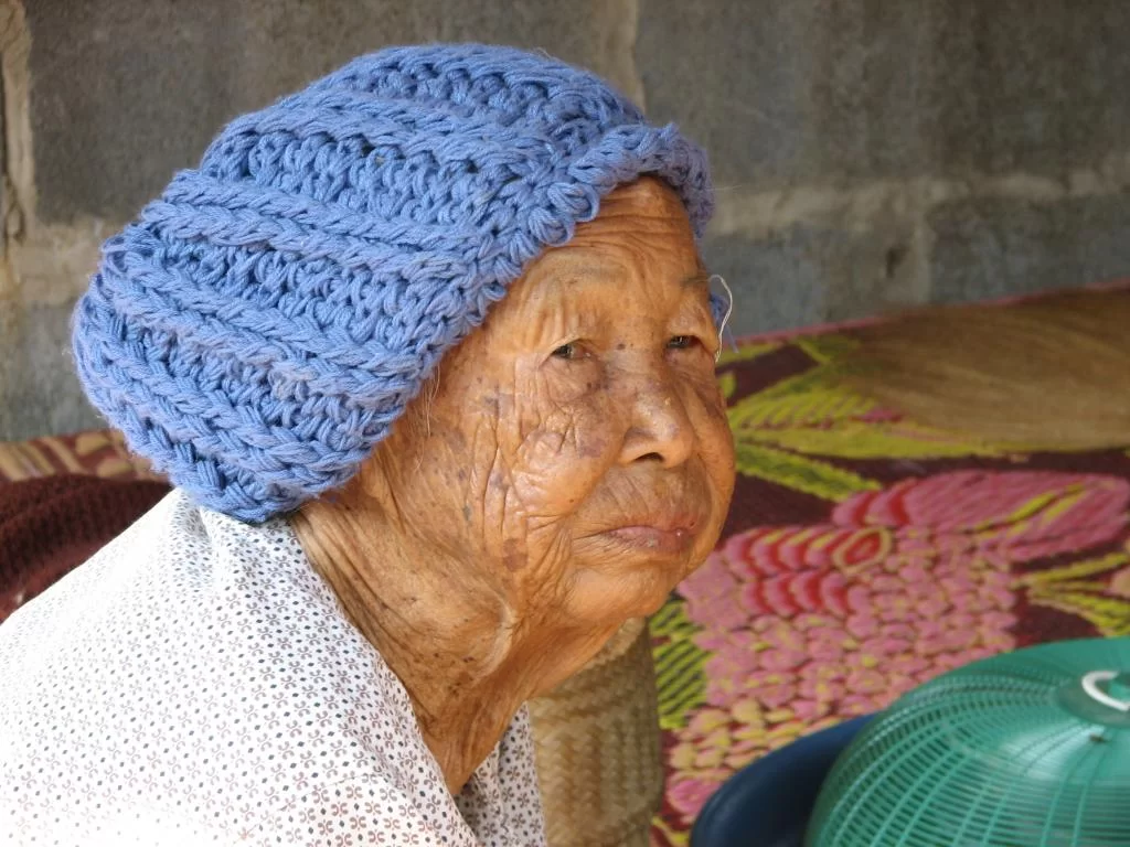 Diverse Kantalak insekt 029.webp