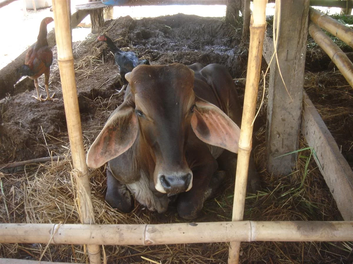 DSC06014 (Custom).webp