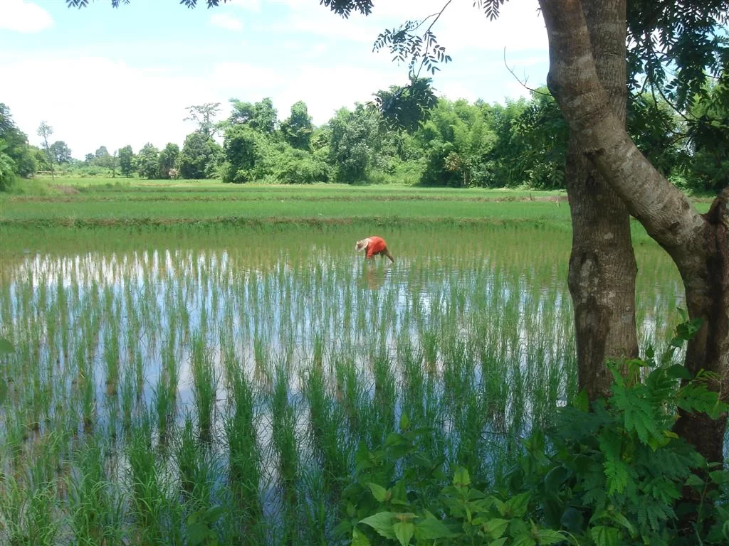 DSC06020 (Large).webp