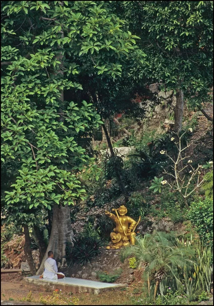 EOS30-77-17 Mediterande nunna PHL.webp