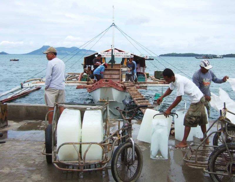 Estancia fiskehamn.webp