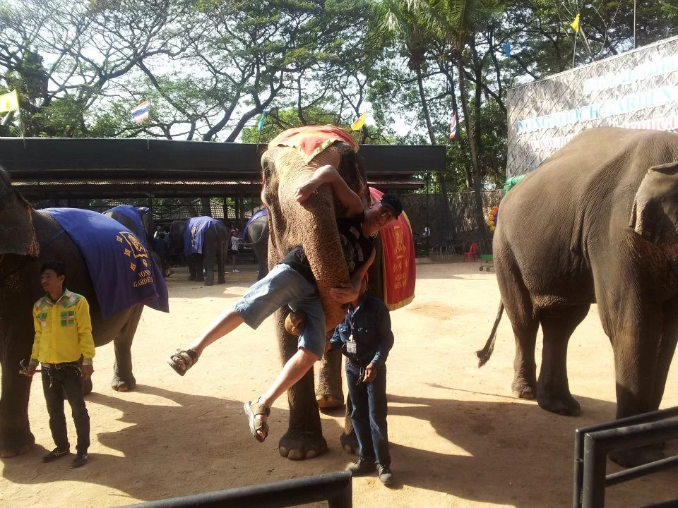 farsan får snabel.webp