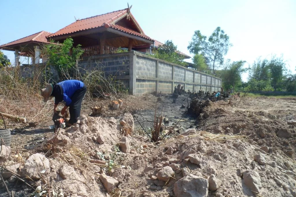 Filling, puppy 003.webp