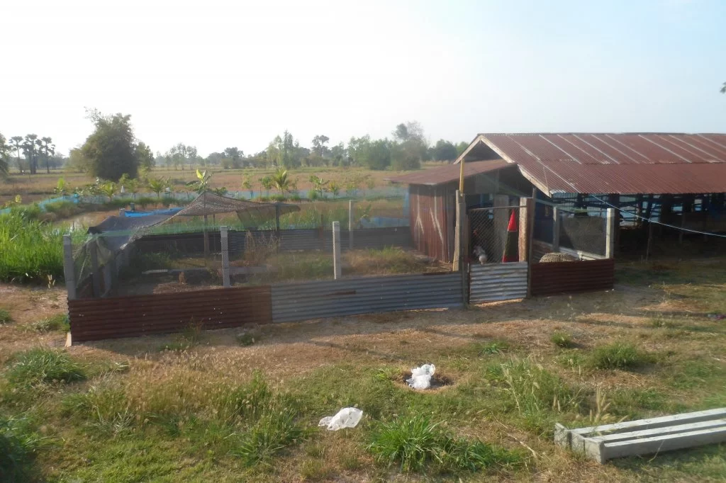 Fiolspelare 001.webp