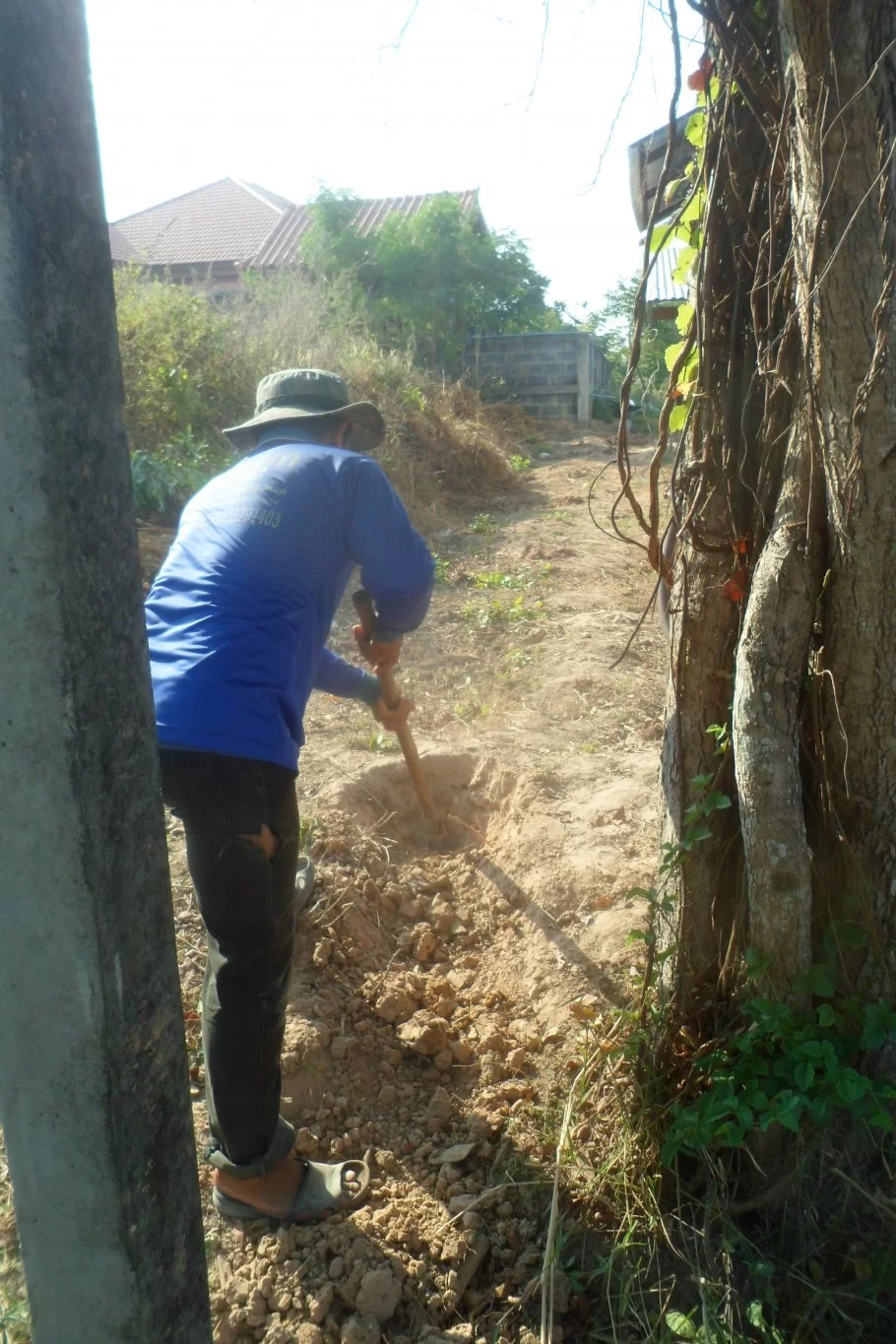 Fiolspelare 013.webp