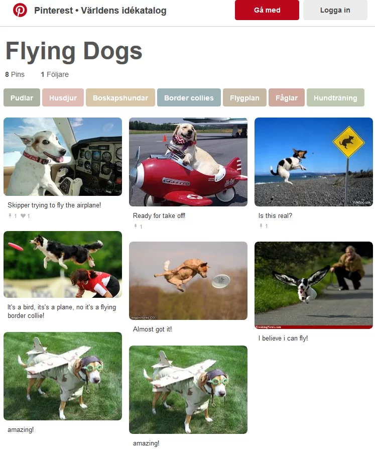 flying dogs.webp