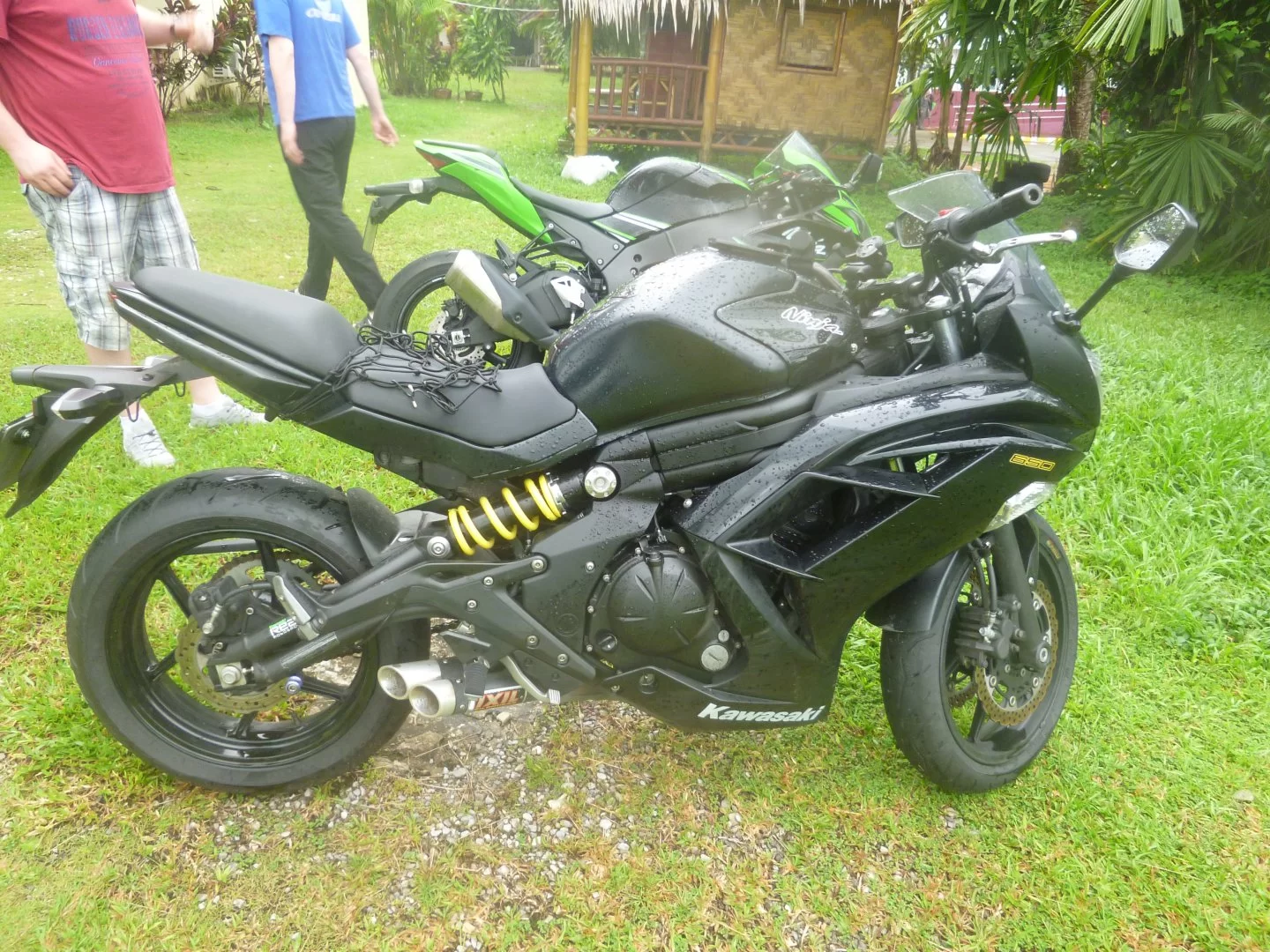 gäster bröder (3).webp