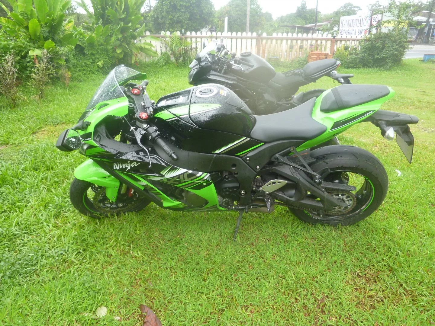 gäster bröder (4).webp