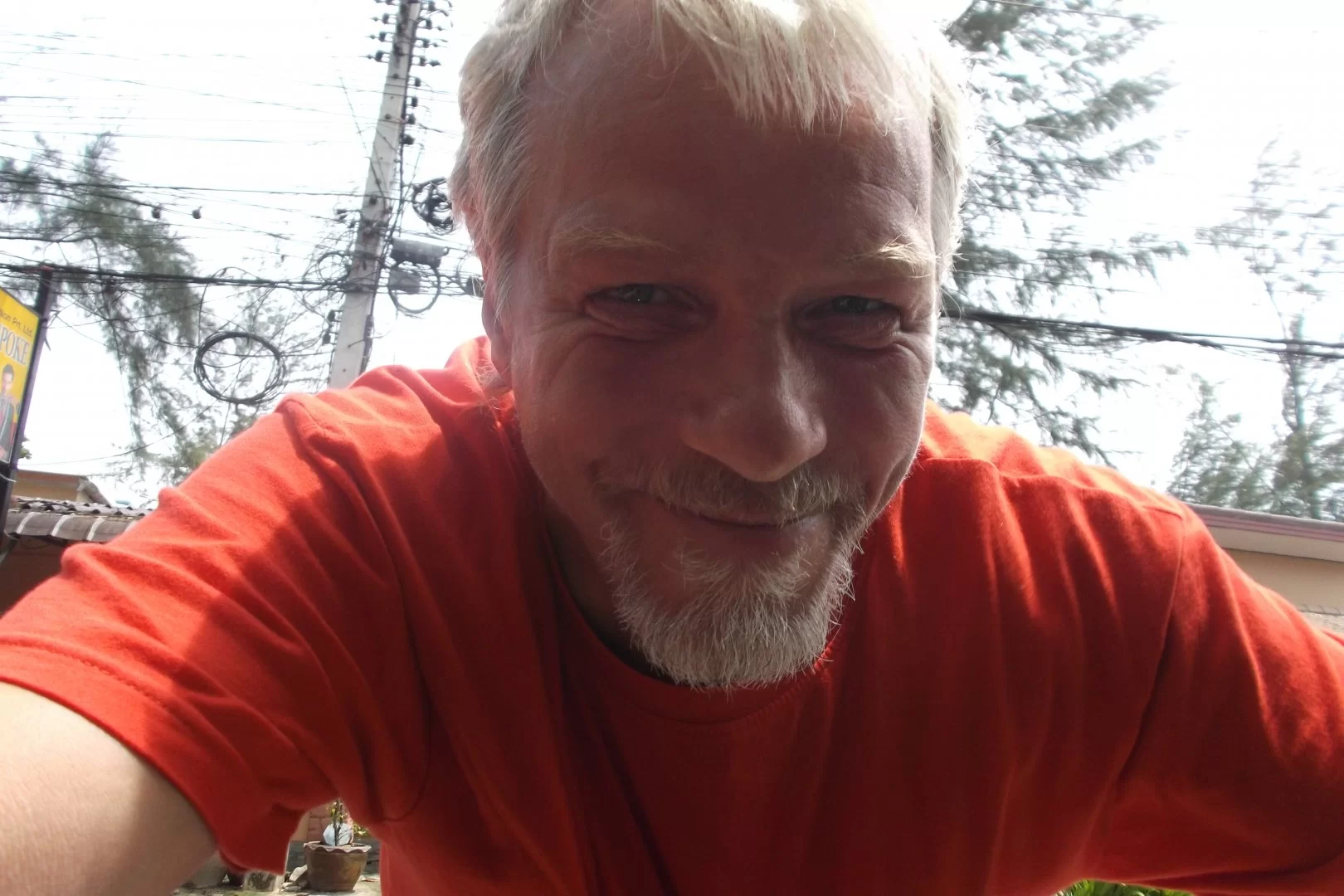 gäster  kycklingen.webp